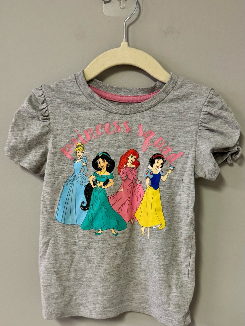 Disney Grey Tee with Colorful Princesses